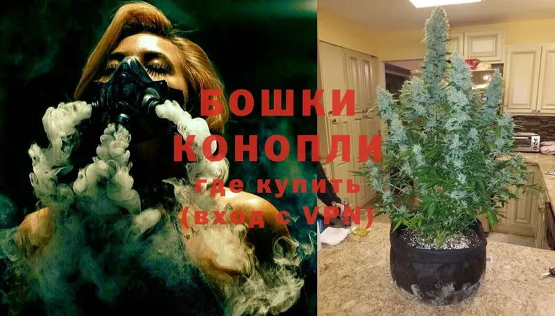 Конопля Ganja  где купить наркоту  Рубцовск 